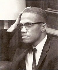 Malcom X  Organization