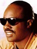 Stevie Wonder